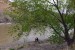 Playing by the Colorado River