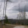 The parking lot for Muir Valley, back in the day (3/04)