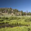A very swampy valley