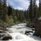 A Day Along the Poudre River:  June 24, 2007