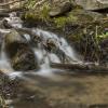 A little creek runnng high 