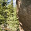 There were some lovely boulders a long this trail
