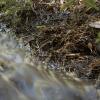 Water running down the hillside