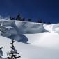 Chasm1006