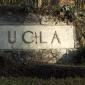 ucla0108