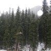 Snow falling in Rocky Mountain NP
