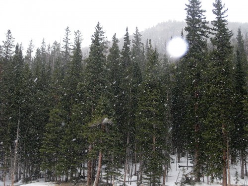 Snow falling in Rocky Mountain NP